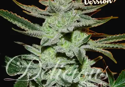 Unknown Kush Early Version