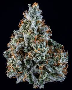 Walter White Auto