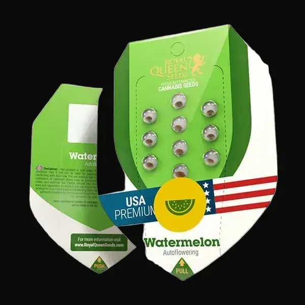 Watermelon Auto — zdjęcie 2