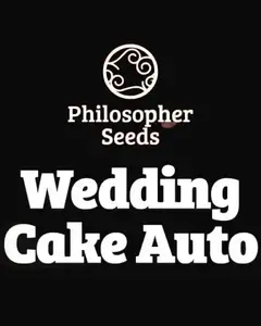 Wedding Cake Auto