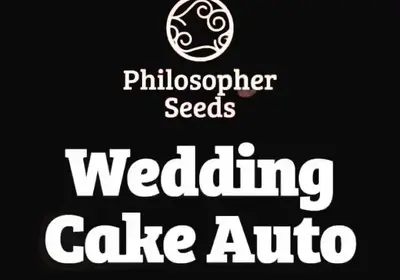 Wedding Cake Auto