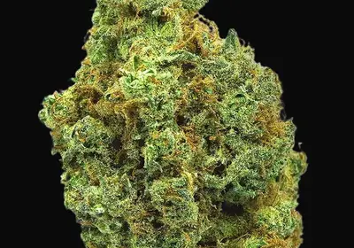 TB Wedding Cake