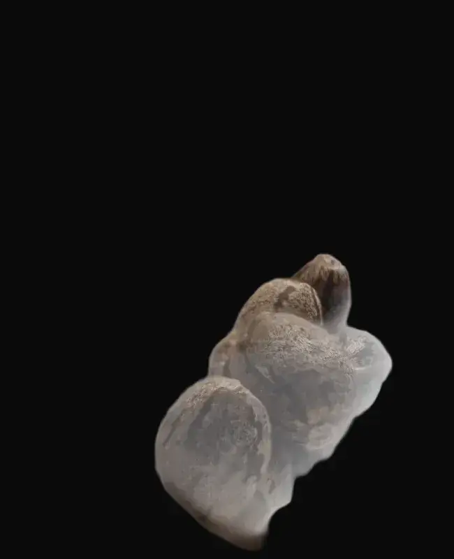 White Gorilla Haze — zdjęcie 2