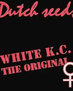 White K.C.