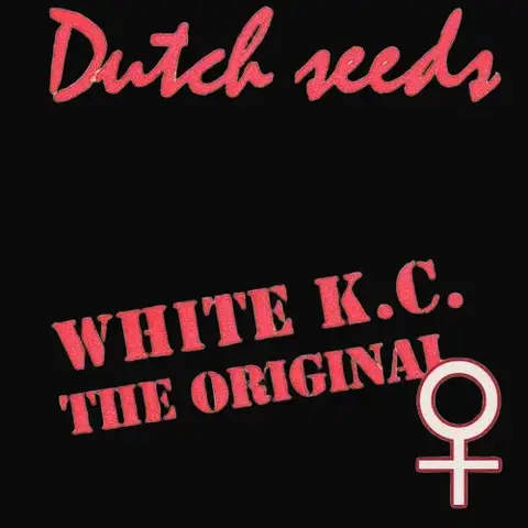 White K.C.