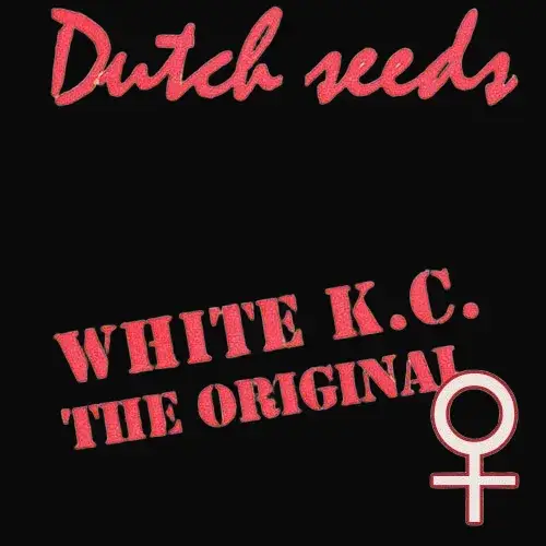 White K.C.