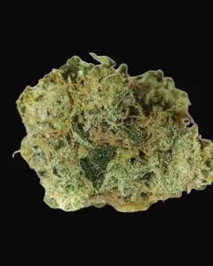 White Prussian