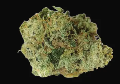 White Prussian