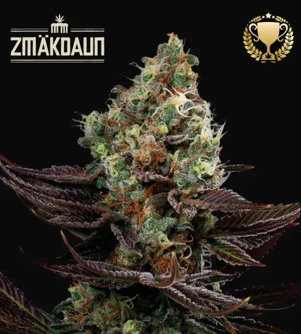 Zmäkdaun