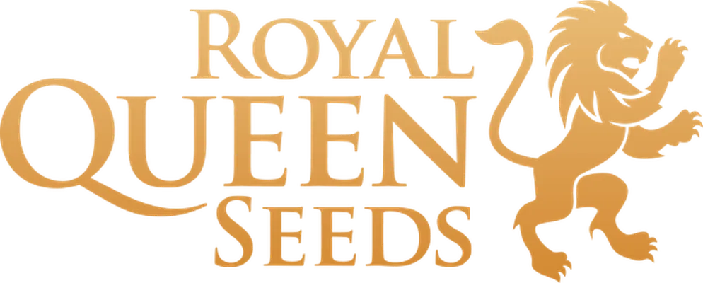 Royal Queen Seeds