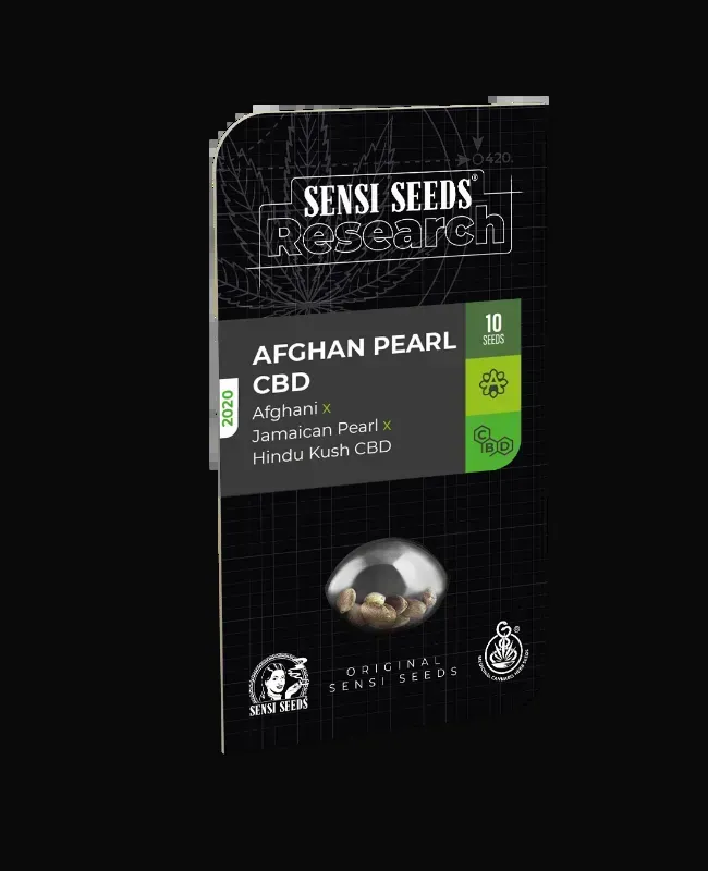 Afghan Pearl CBD Automatic