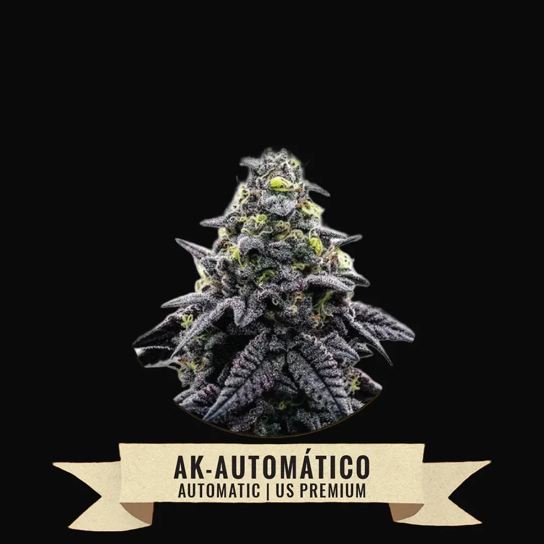 AK-Automático