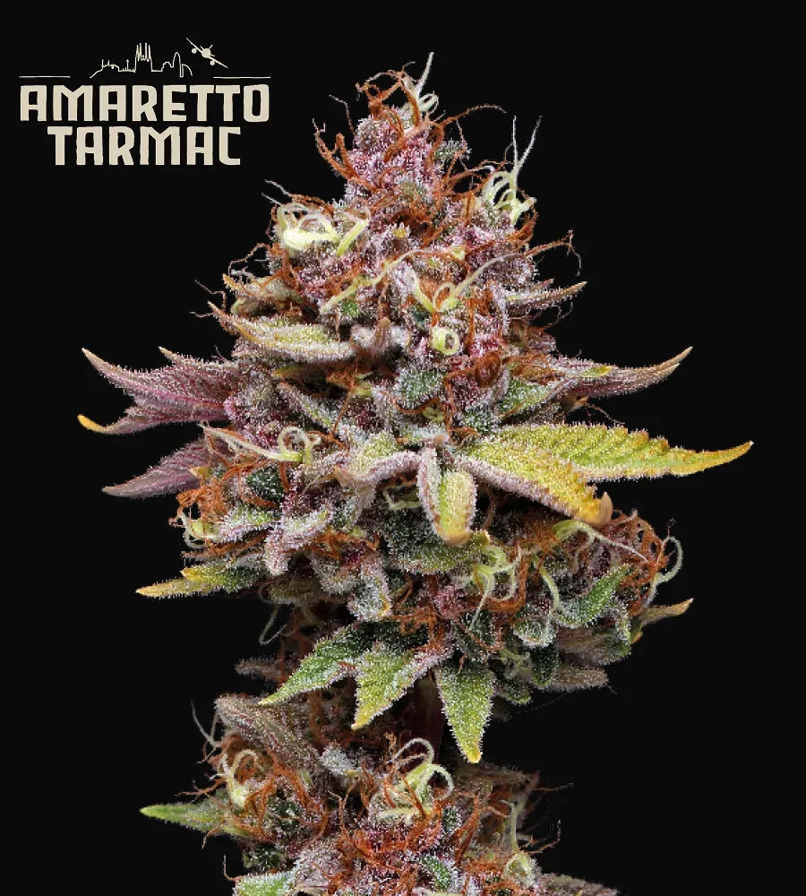 Amaretto Tarmac