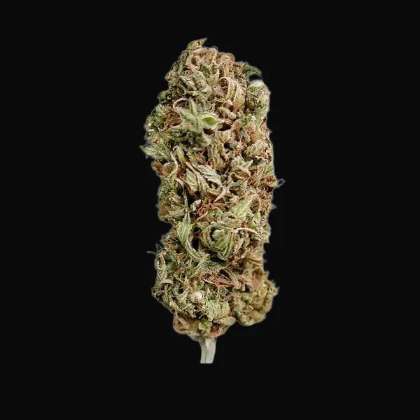 AMG – Amnesia Mac Ganja