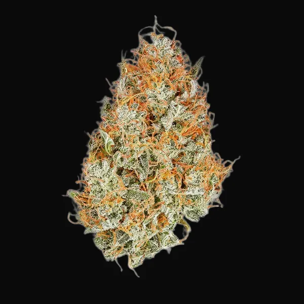 Amnesia Haze Automatic