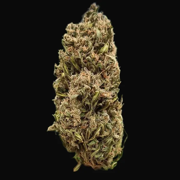 Amnesia Haze Regular