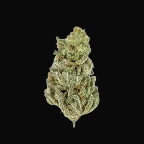 Amnesia Haze