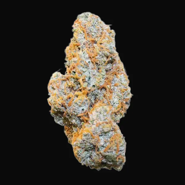 Apple Fritter Auto