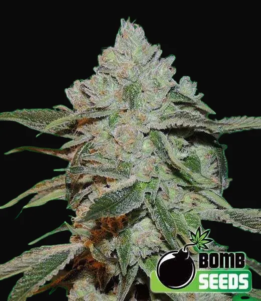 Atomic