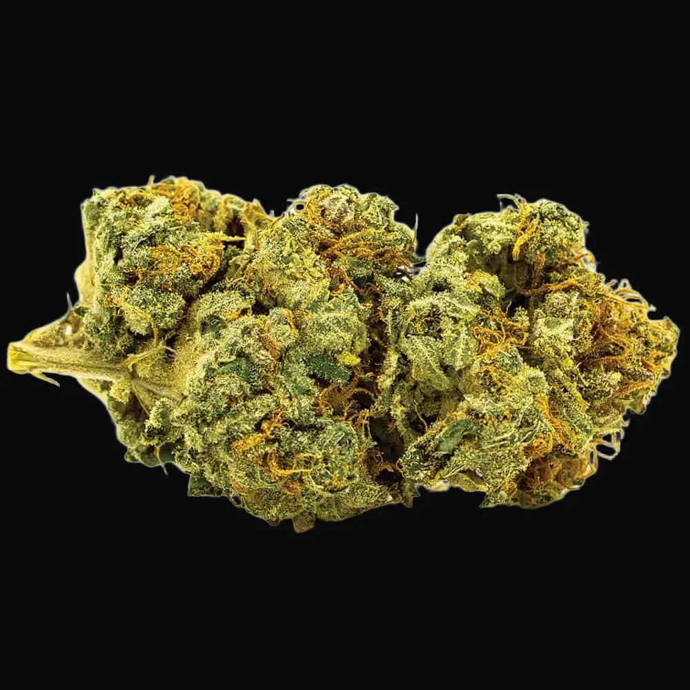 Auto Banana Monkey