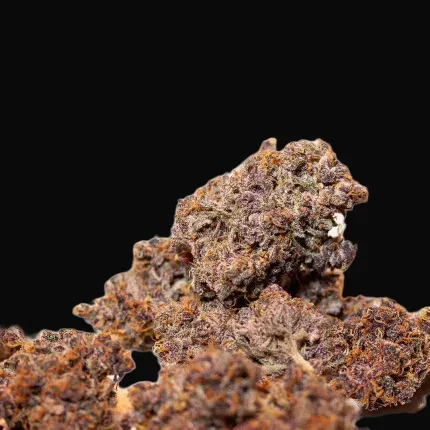 Auto Blackberry Kush
