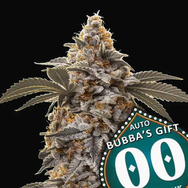 Auto Bubba's Gift