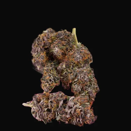 Auto Forbidden Cherry