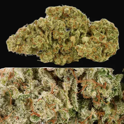 Auto SFV OG