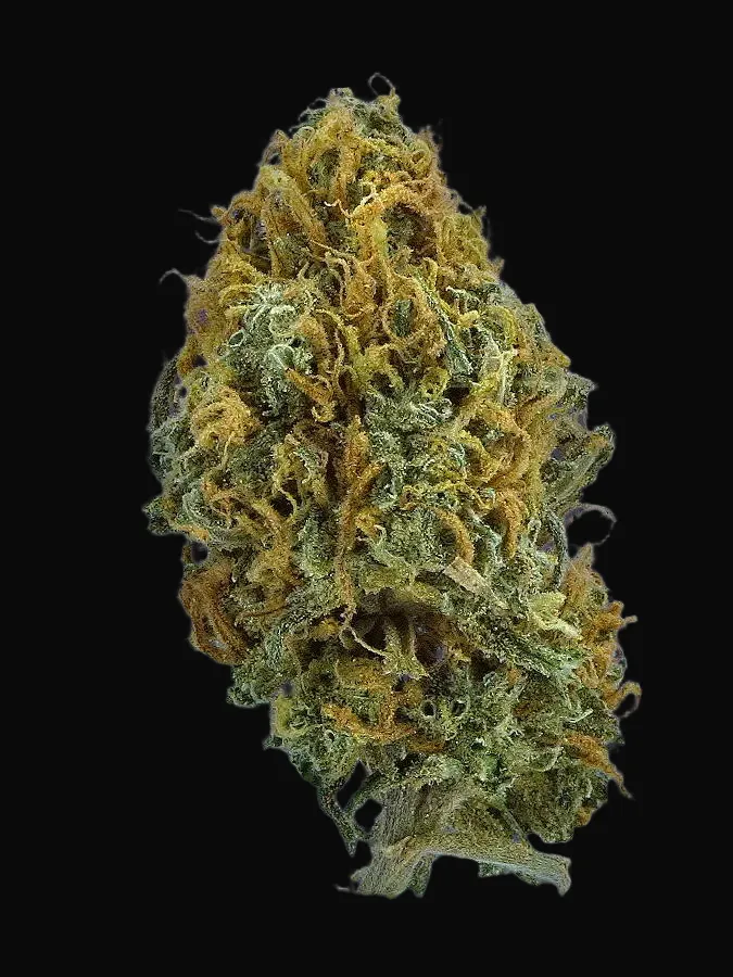 TB Skittlez Auto