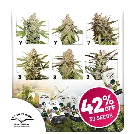 Autoflower Package Deal