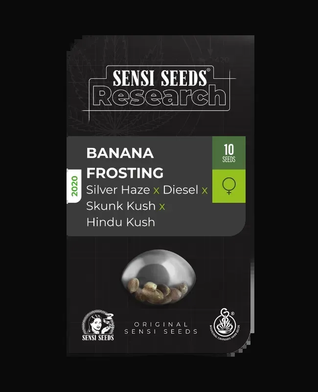 Banana Frosting Feminized