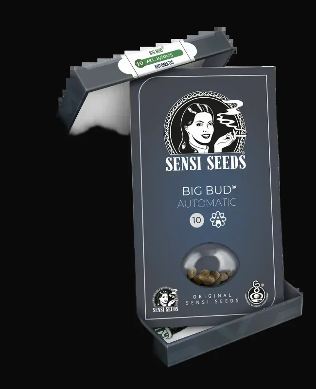 Big Bud Automatic