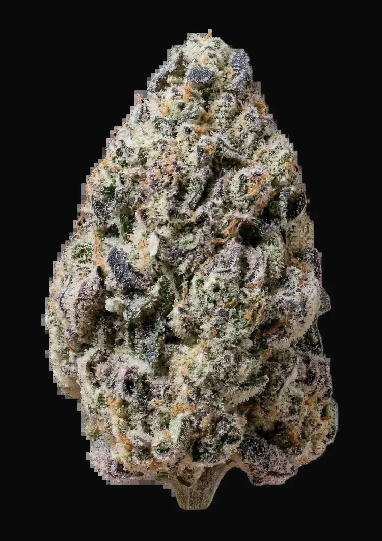 Biscotti Gelato