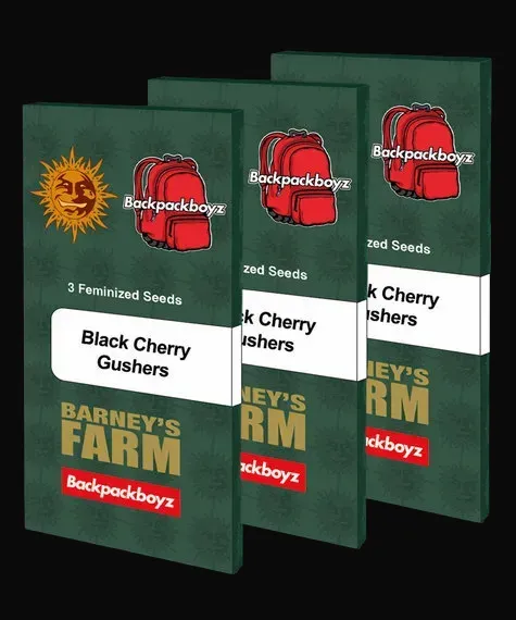 Black Cherry Gushers