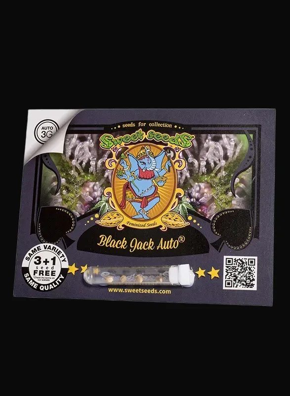 Black Jack Auto