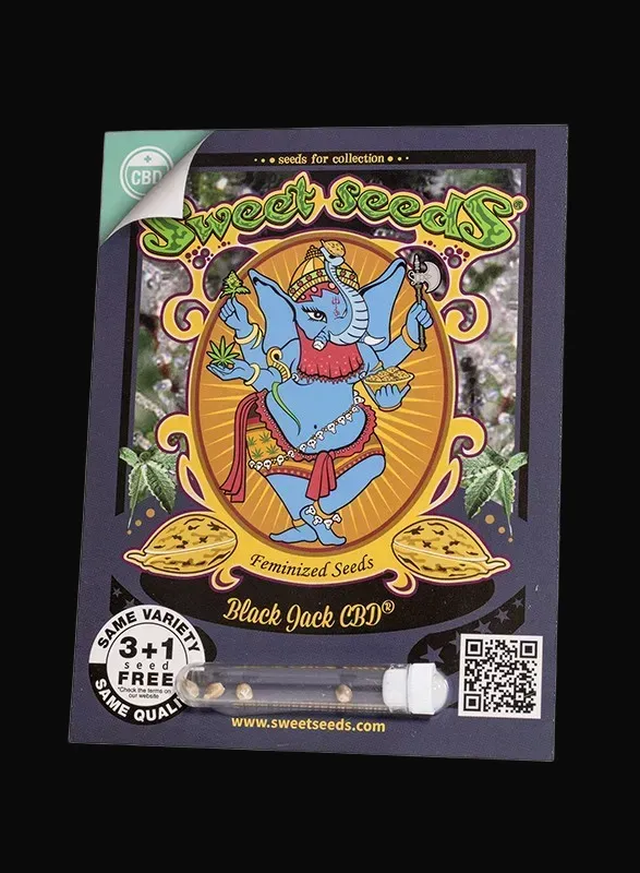 Black Jack CBD