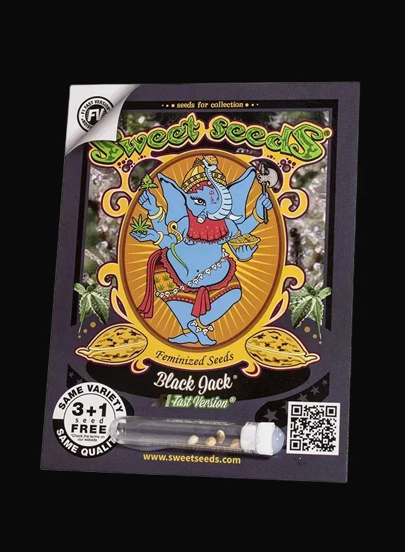 Black Jack F1 Fast Version