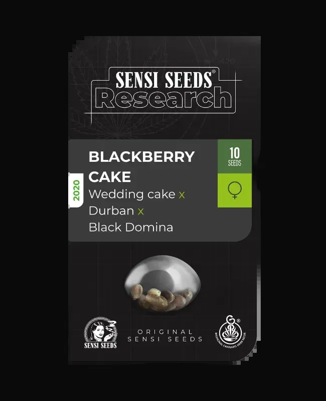 Blackberry Cake Feminized