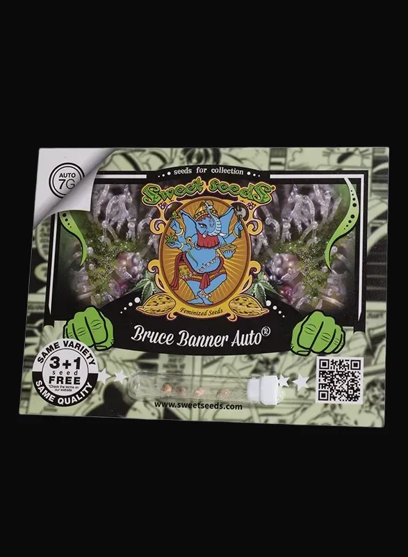 Bruce Banner Auto