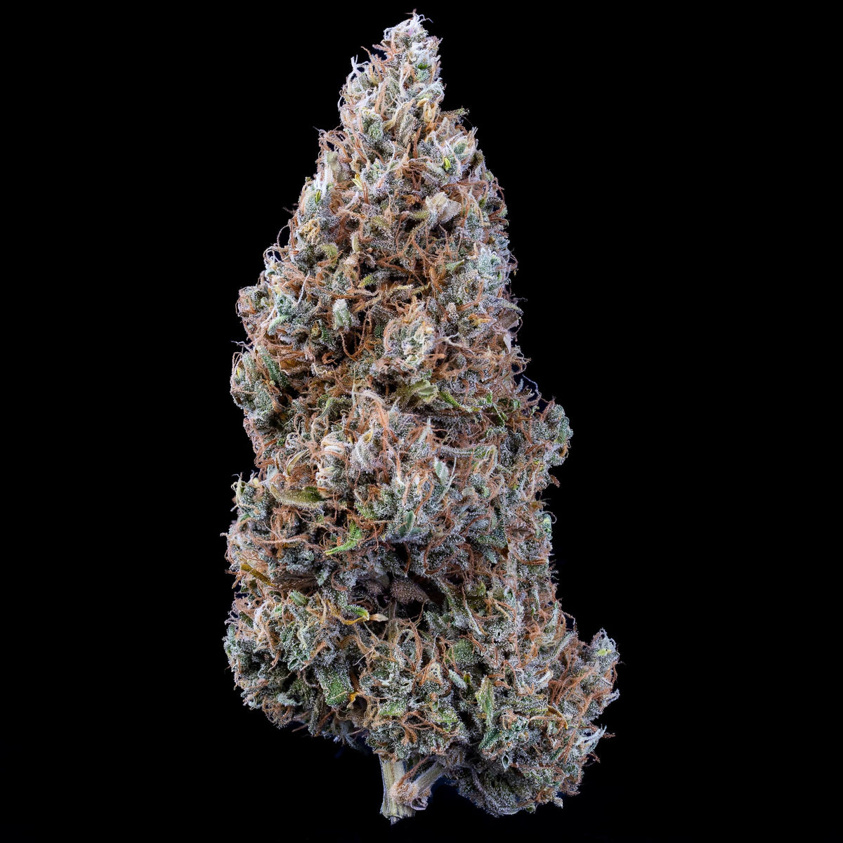 Bubbasquanch Auto