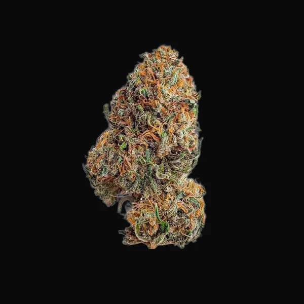 Bubblegum XL
