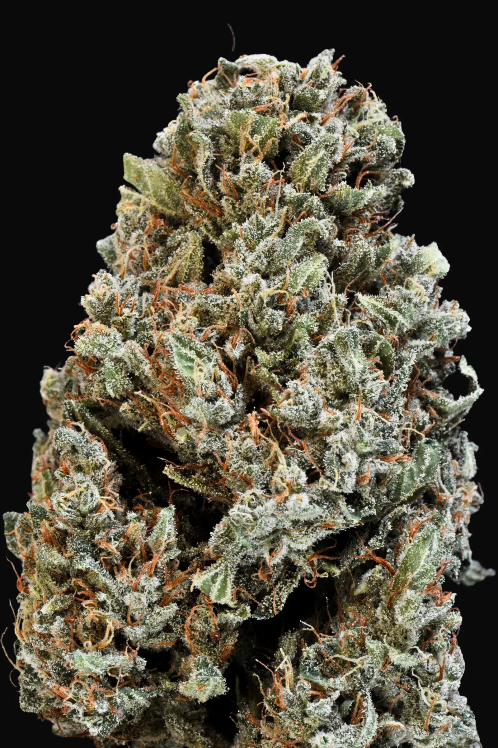 California Dream