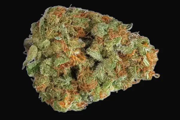 Cannalope Haze