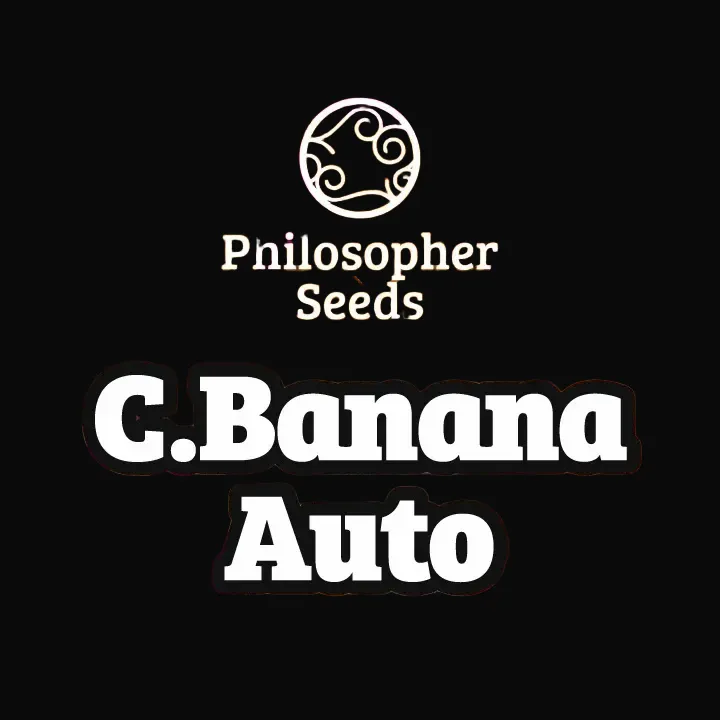 C.Banana Auto