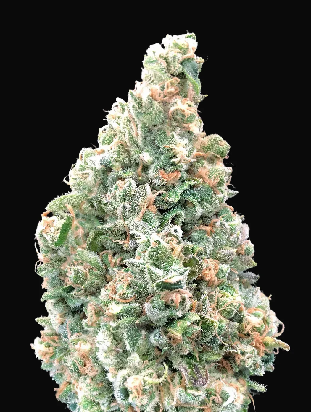 Cherry Pie Fast