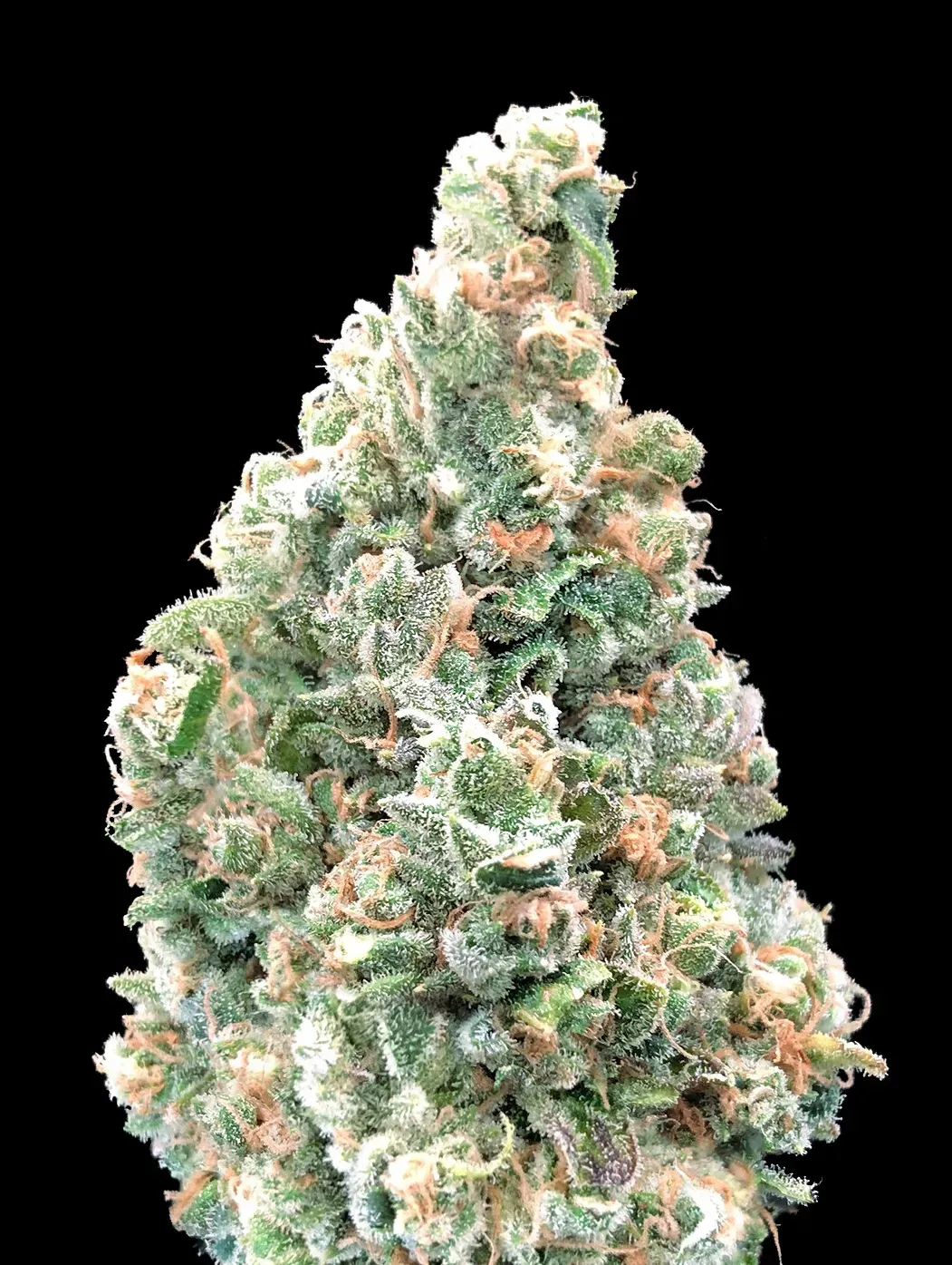 Cherry Pie Fast