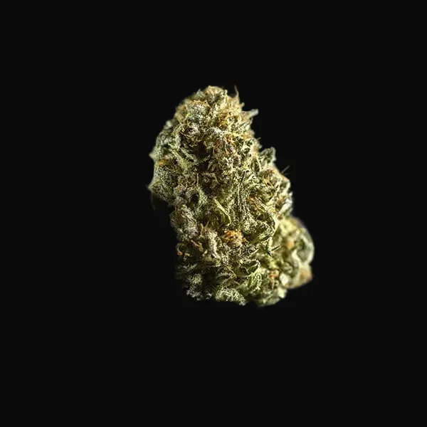 Chocolate Haze