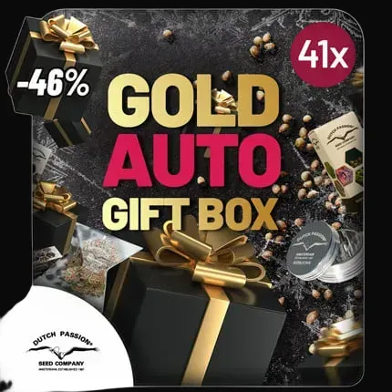 Christmas Discount Gift Box Autoflower
