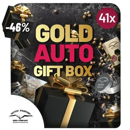 Christmas Discount Gift Box Autoflower