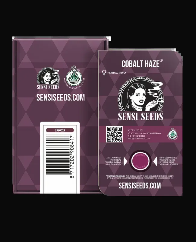 Cobalt Haze Feminized